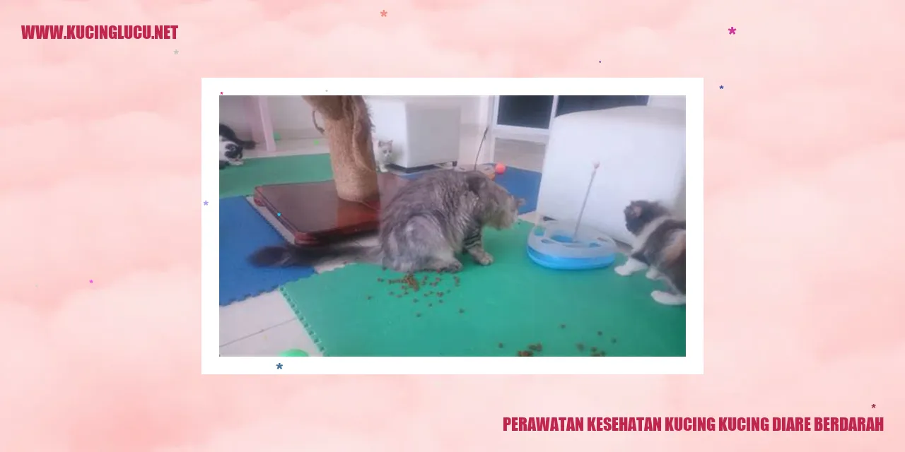Perawatan Kesehatan Kucing kucing diare berdarah