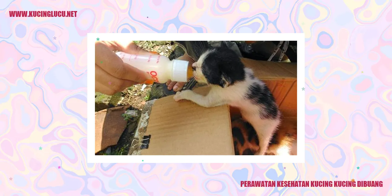 Perawatan Kesehatan Kucing