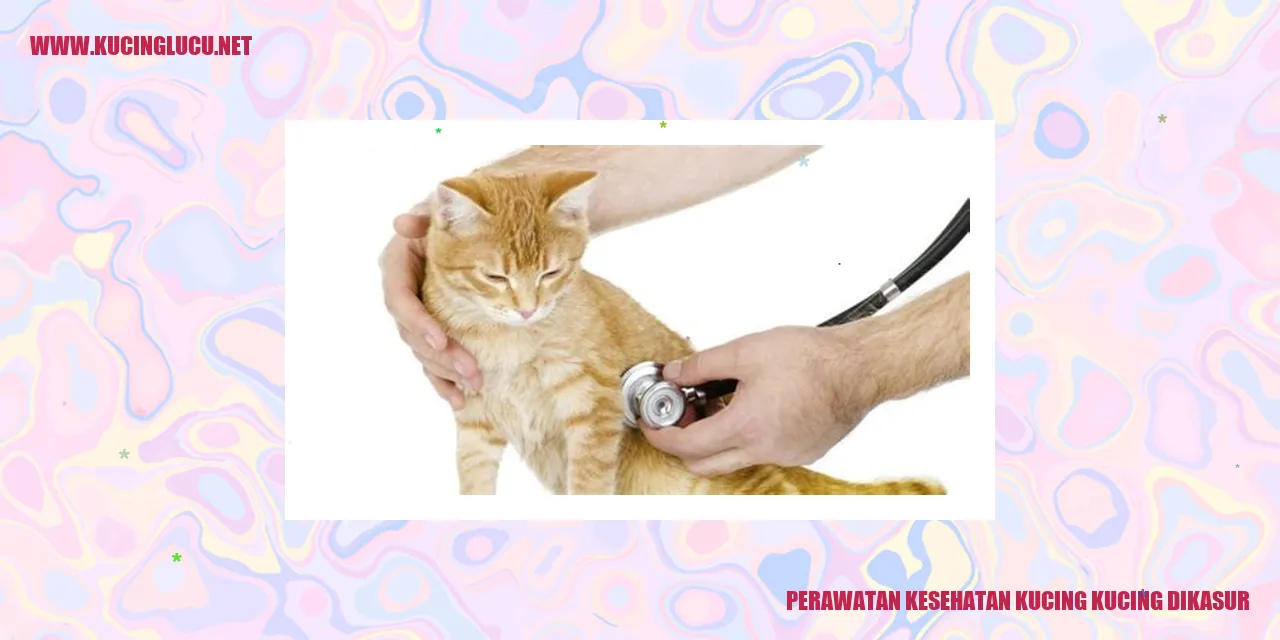 Perawatan Kesehatan Kucing