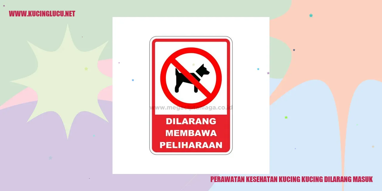 Perawatan Kesehatan Kucing