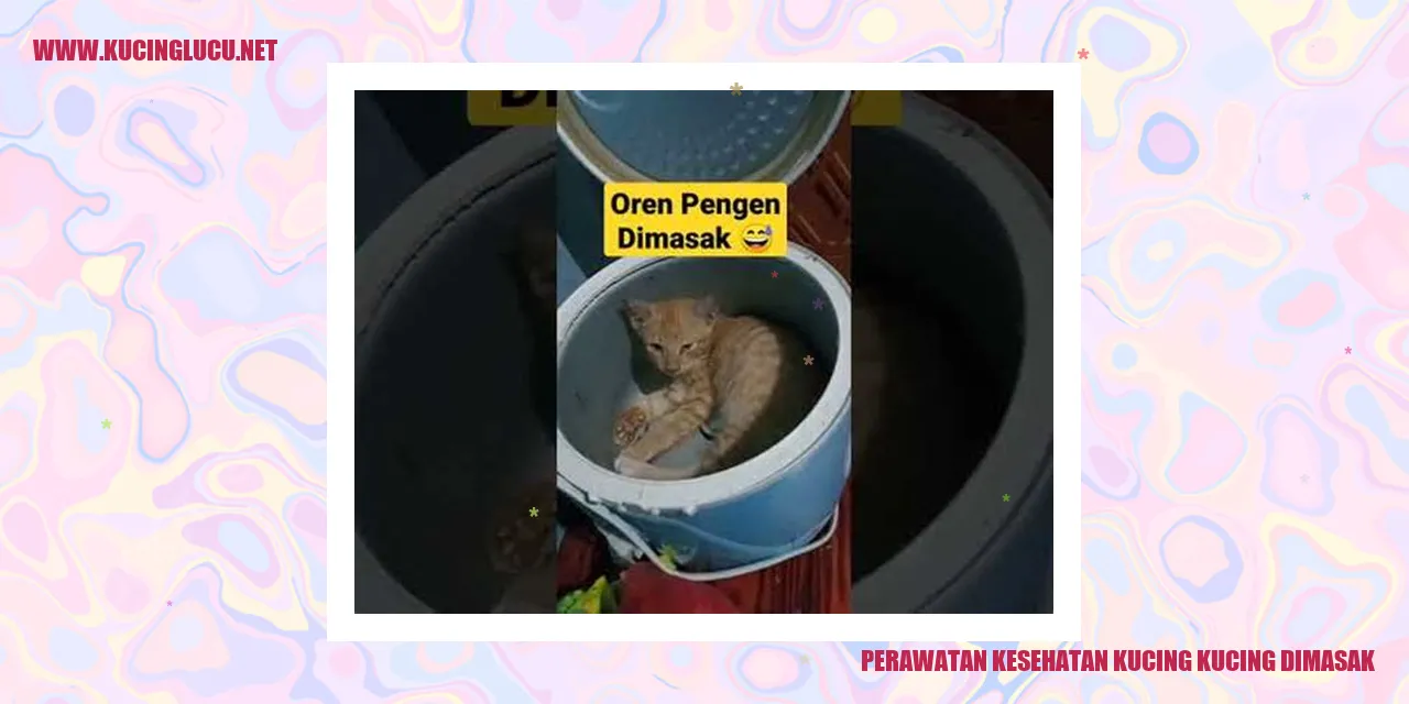 Perawatan Kesehatan Kucing