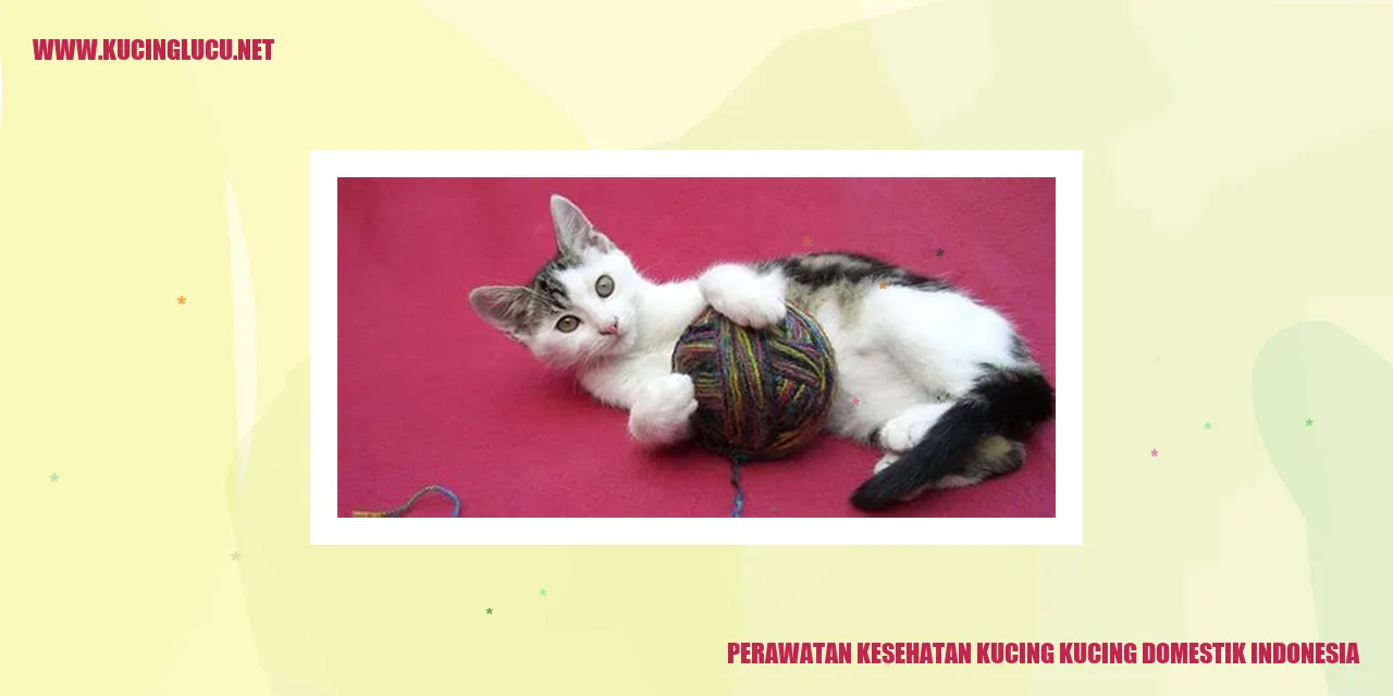 Kucing Domestik di Indonesia