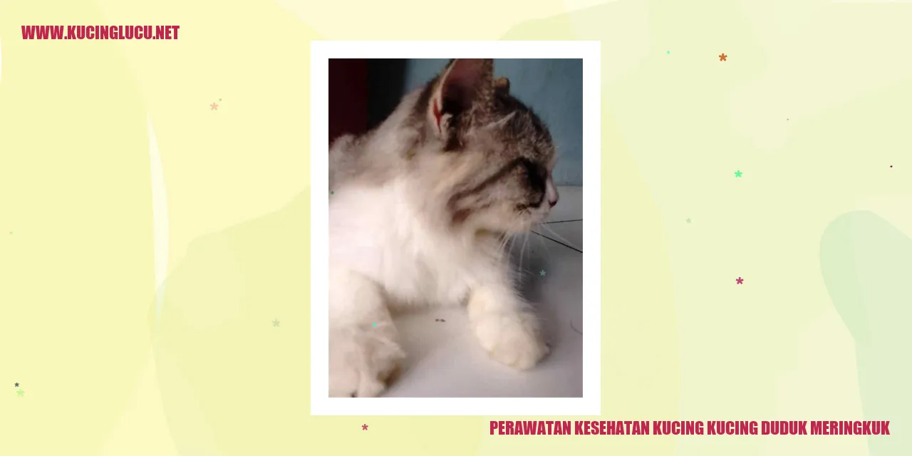 Perawatan Kesehatan Kucing Kucing Duduk Meringkuk