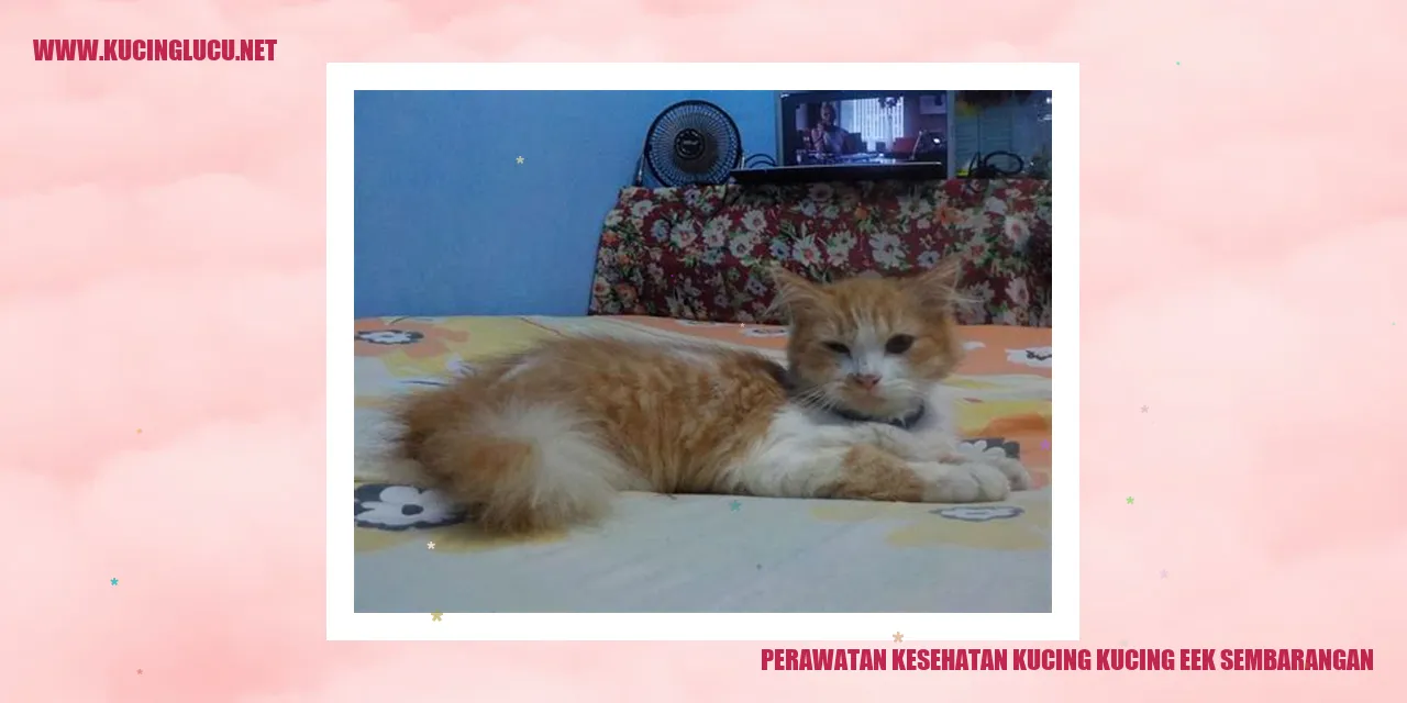Perawatan Kesehatan Kucing