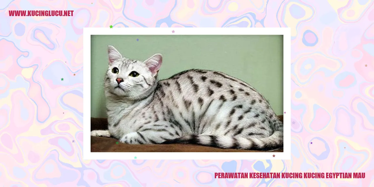 Perawatan Kesehatan Kucing