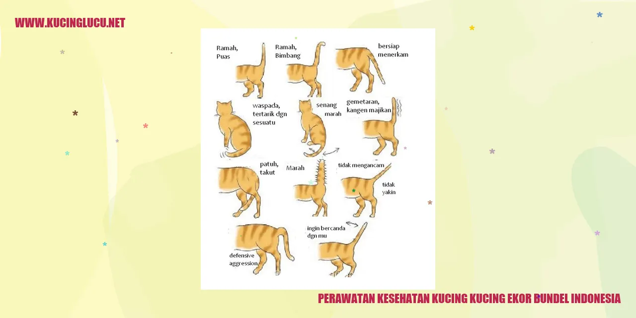 Perawatan Kesehatan Kucing