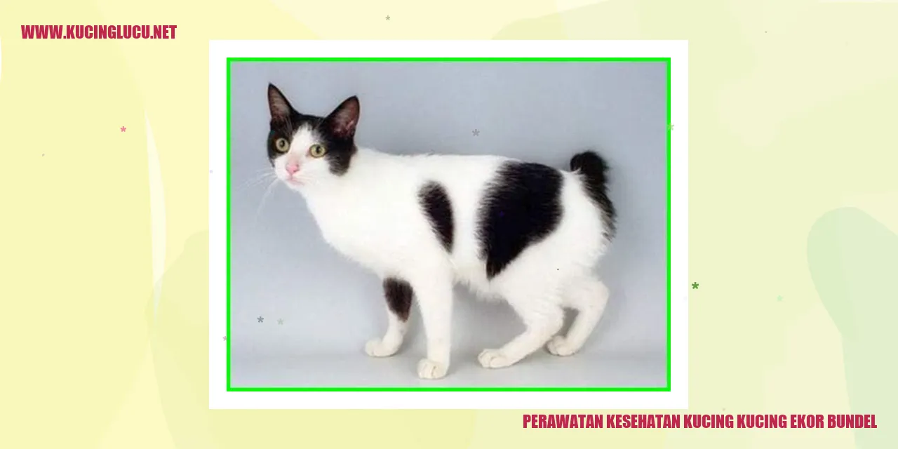 Perawatan Kesehatan Kucing Kucing Ekor Bundel