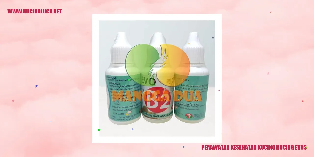 Perawatan Kesehatan Kucing