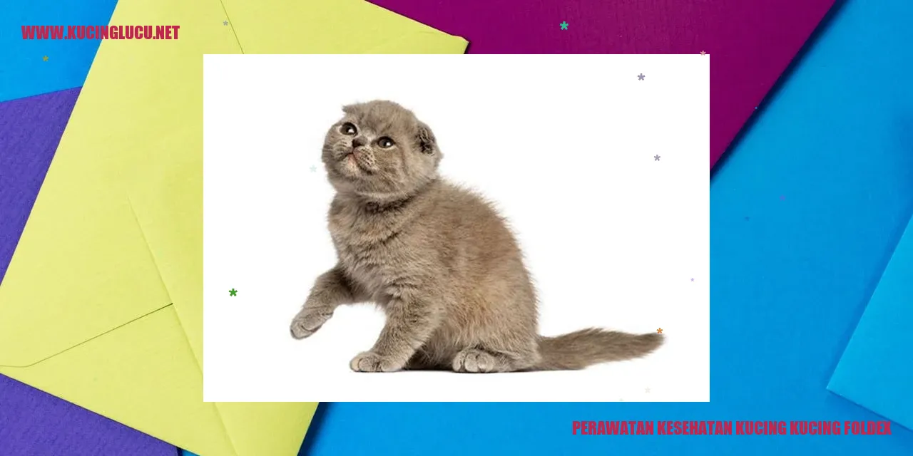 Kucing Foldex