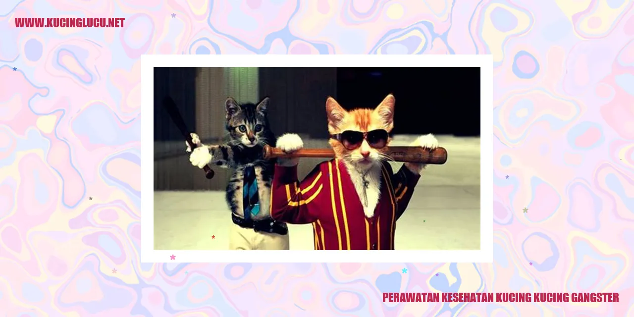 Perawatan Kesehatan Kucing Kucing Gangster