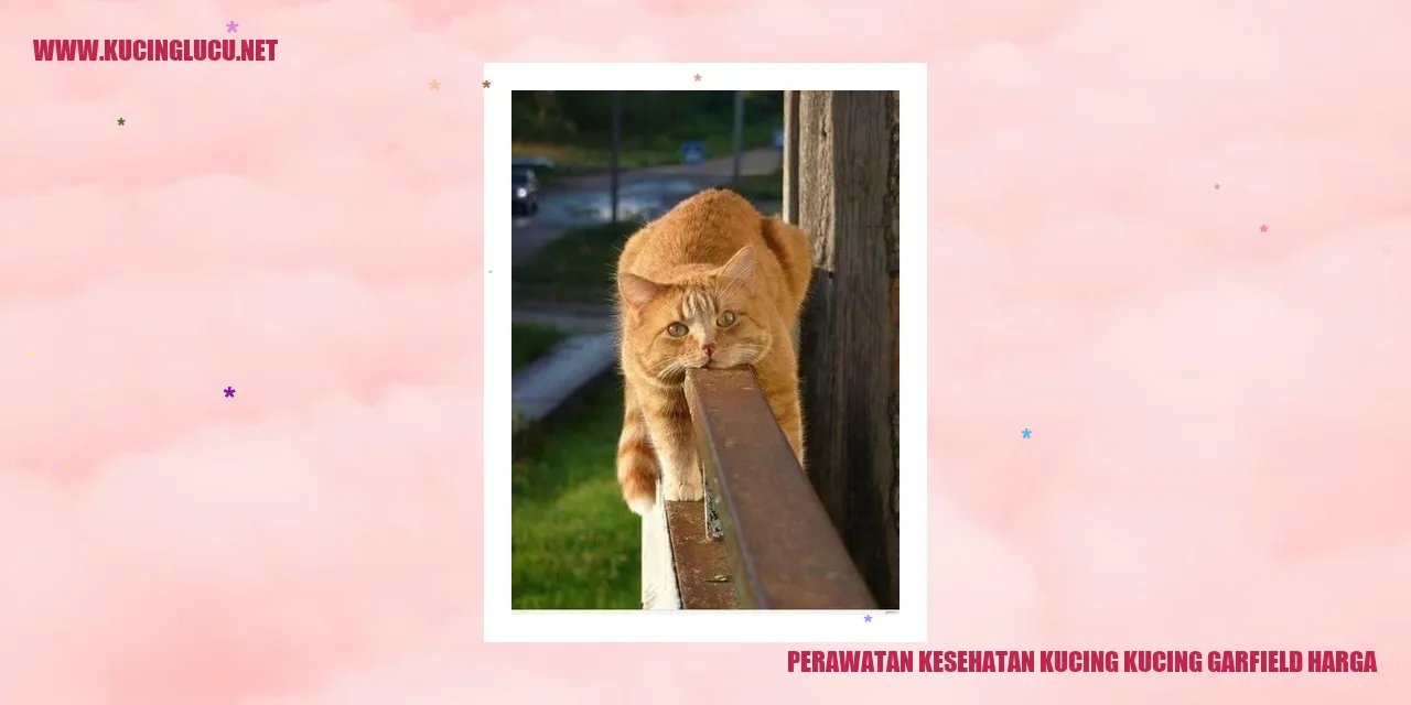 Perawatan Kesehatan Kucing Garfield