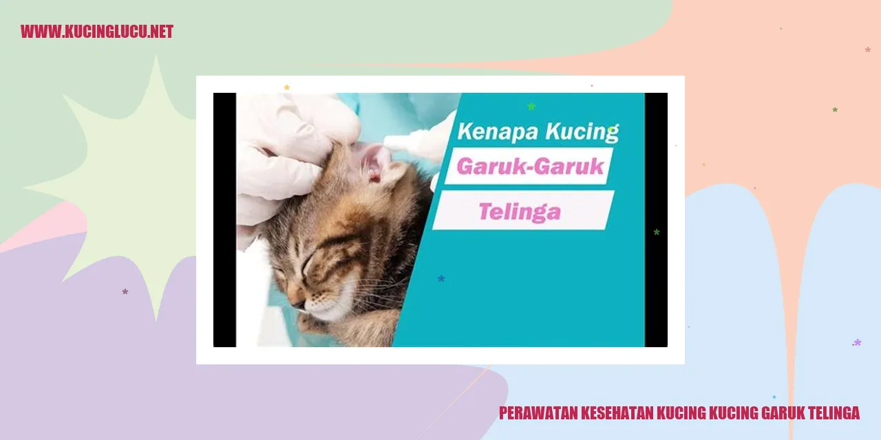 Perawatan Kesehatan Kucing