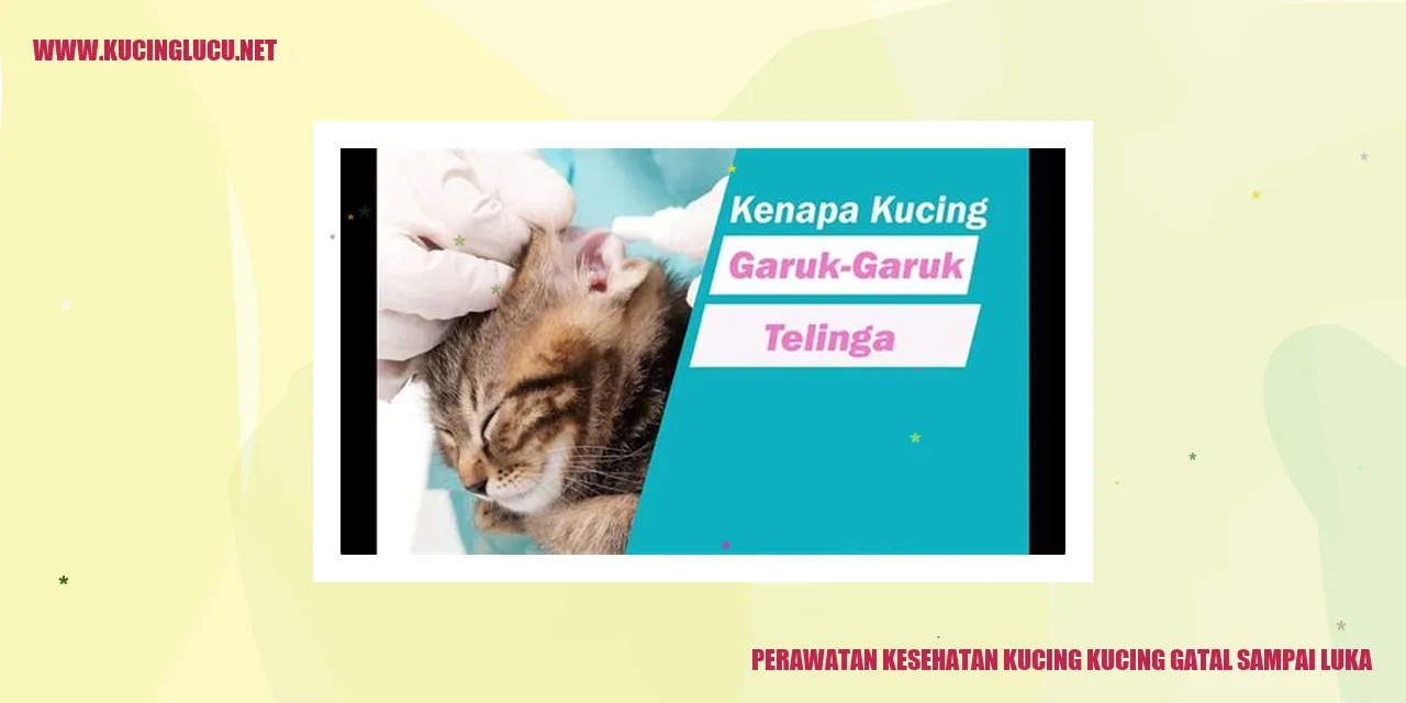 Perawatan Kesehatan Kucing