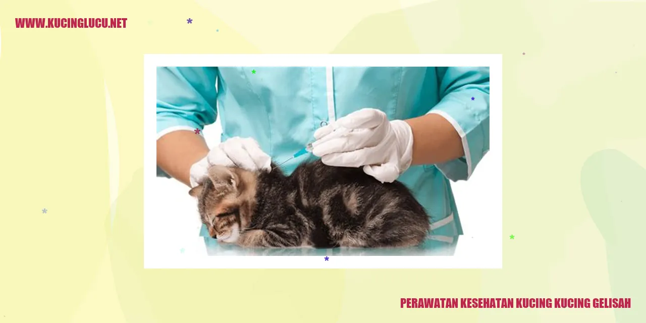 Perawatan Kesehatan Kucing