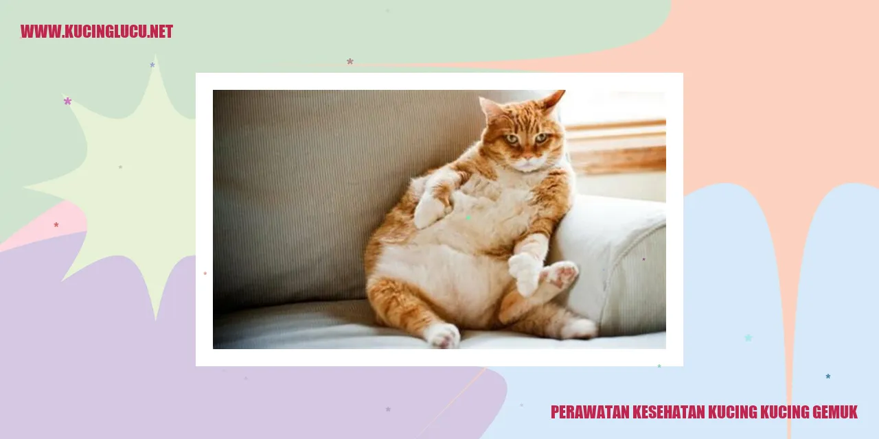 Kucing gemuk