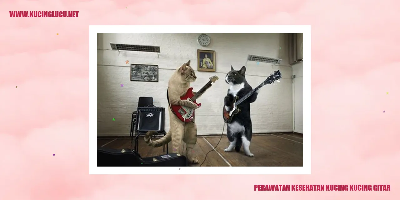 Perawatan Kesehatan Kucing