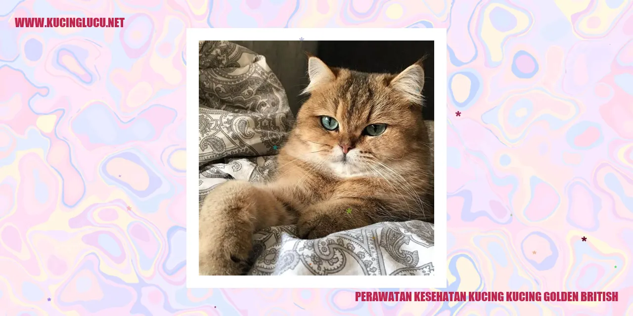 Perawatan Kesehatan Kucing Golden British