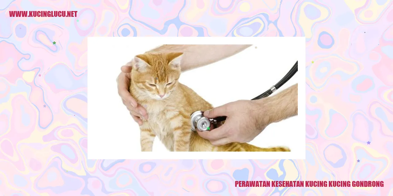 Perawatan Kucing Gondrong