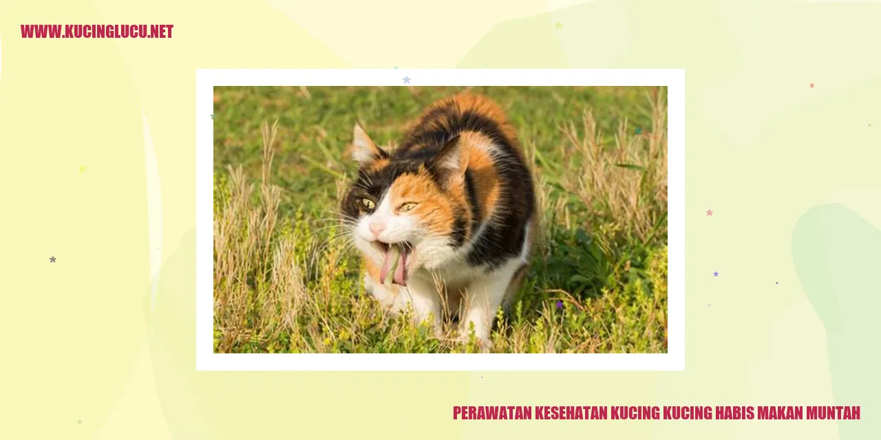 Perawatan Kesehatan Kucing kucing habis makan muntah