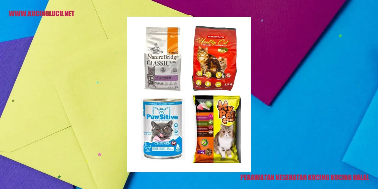 Perawatan Kesehatan Kucing dengan Asupan Halal
