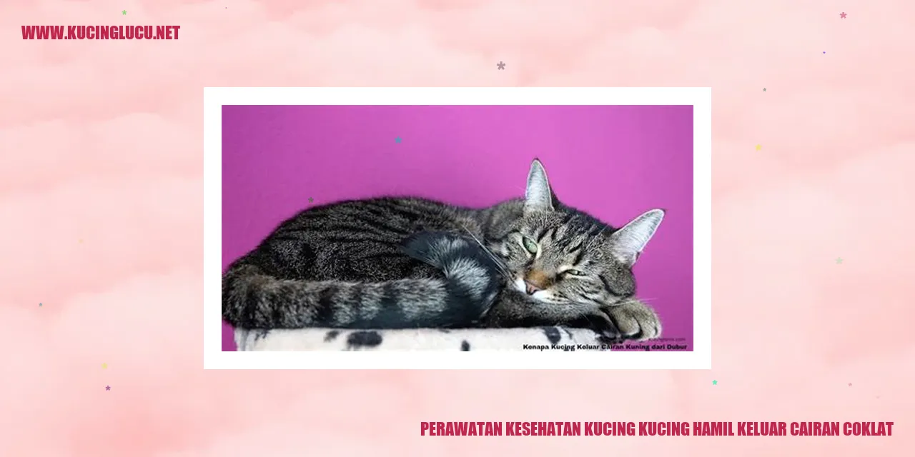 Perawatan Kucing yang Tepat