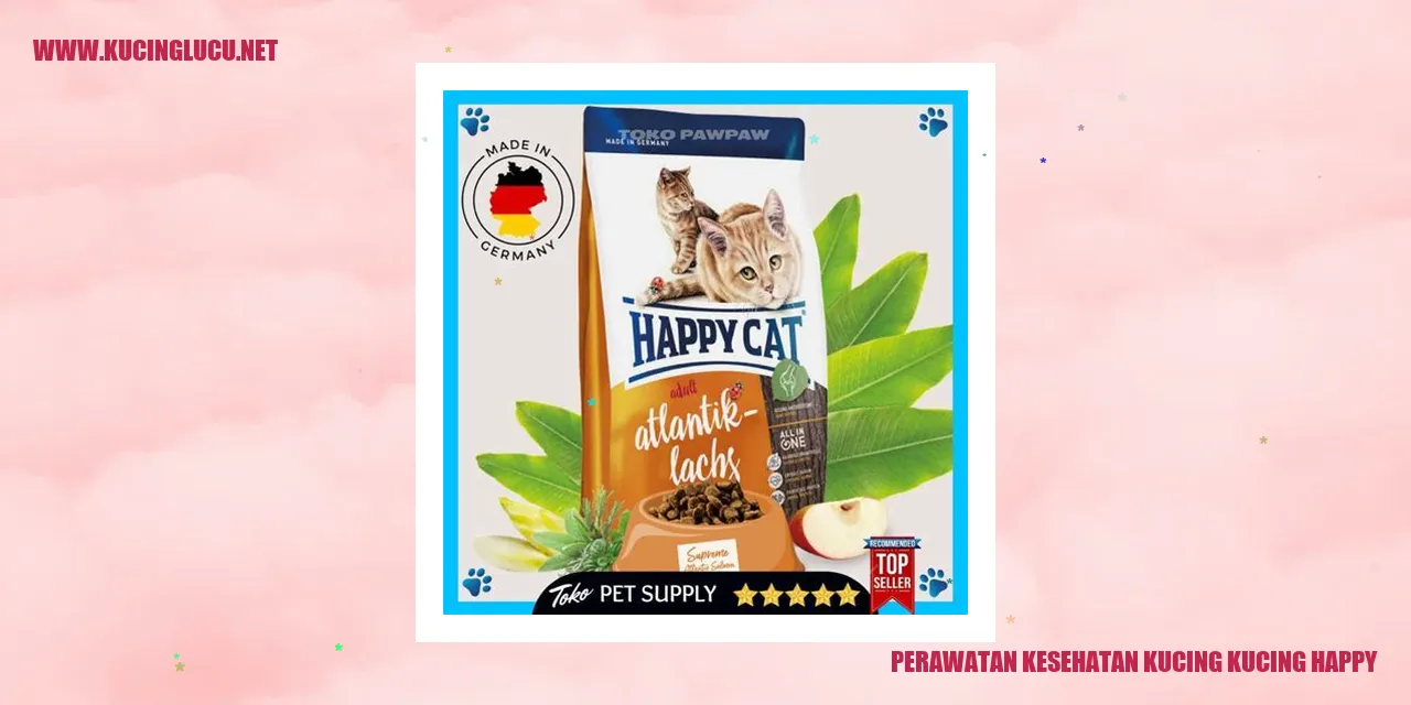 Gambar Kucing Bahagia