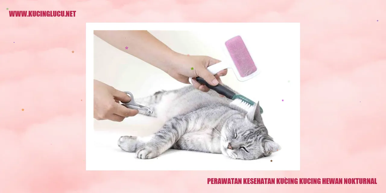 Perawatan Kesehatan Kucing