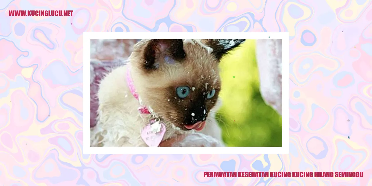 Perawatan Kesehatan Kucing