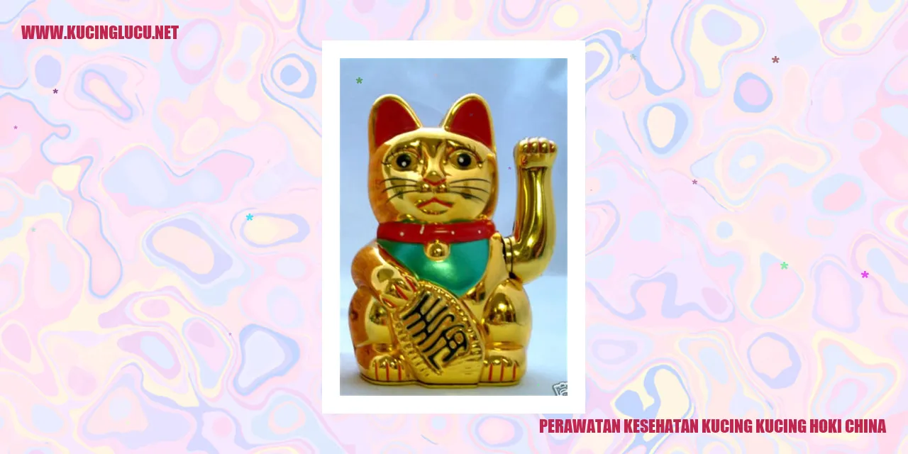 Perawatan Kesehatan Kucing kucing hoki china