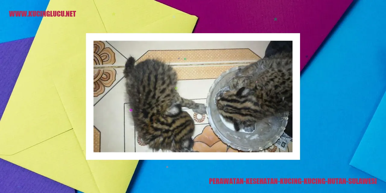 Foto Kucing Hutan Sulawesi