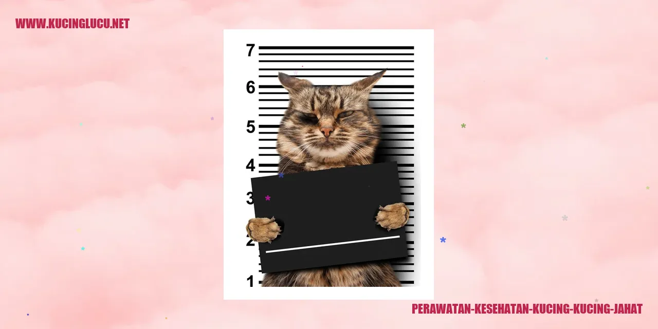Perawatan Kesehatan Kucing