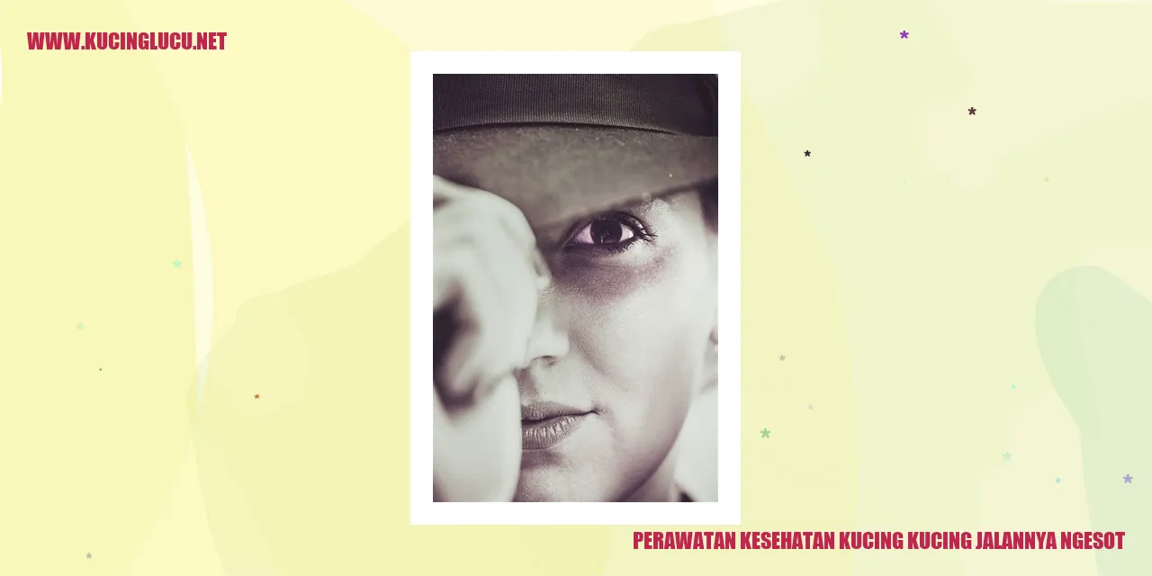 Perawatan Kesehatan Kucing