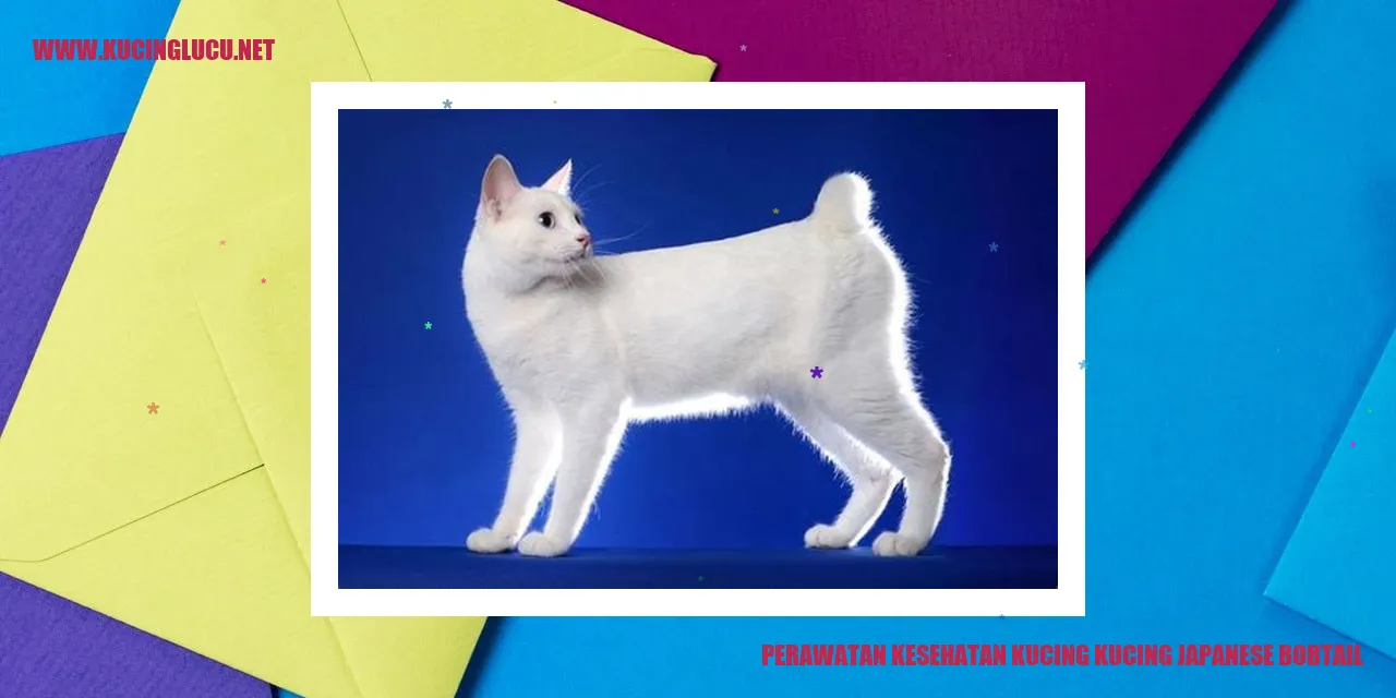 Kucing Japanese Bobtail
