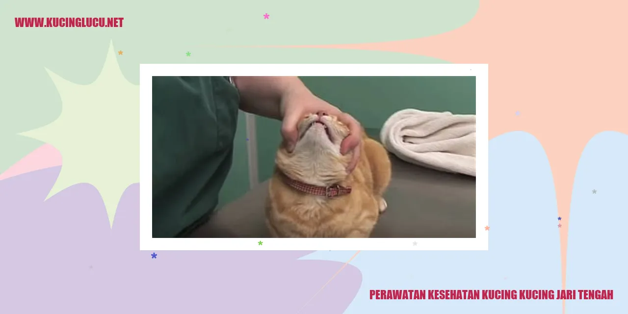 Perawatan Kesehatan Kucing Kucing Jari Tengah