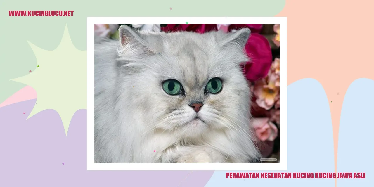 Perawatan Kesehatan Kucing Kucing Jawa Asli