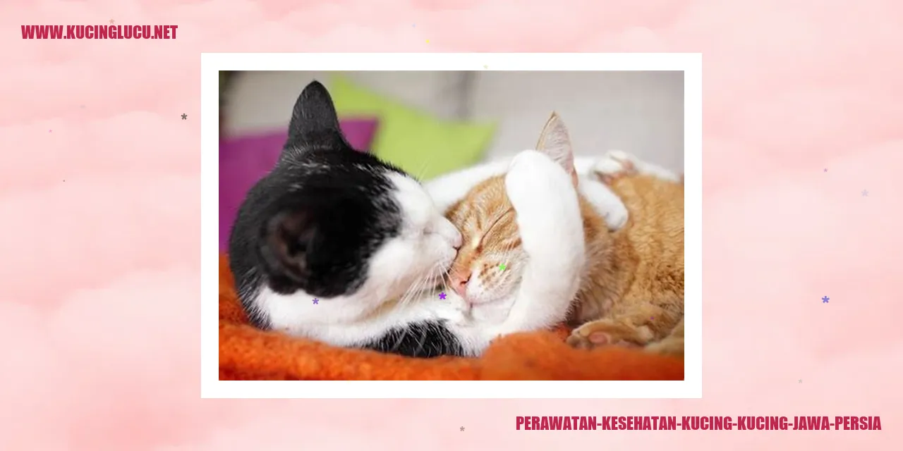 Perawatan Kesehatan Kucing Jawa Persia
