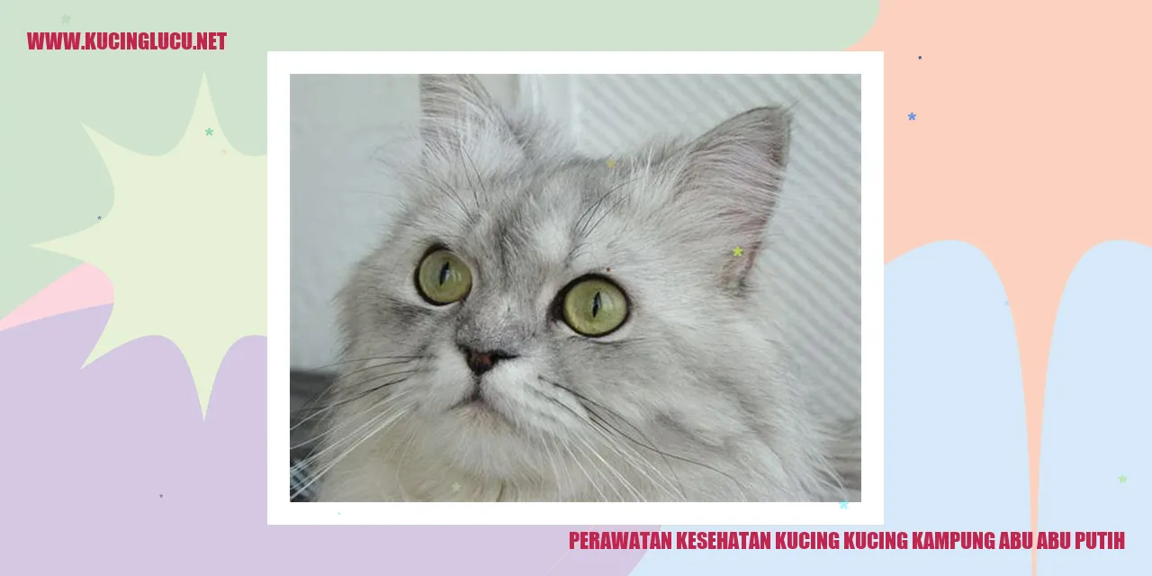 Perawatan Kesehatan Kucing