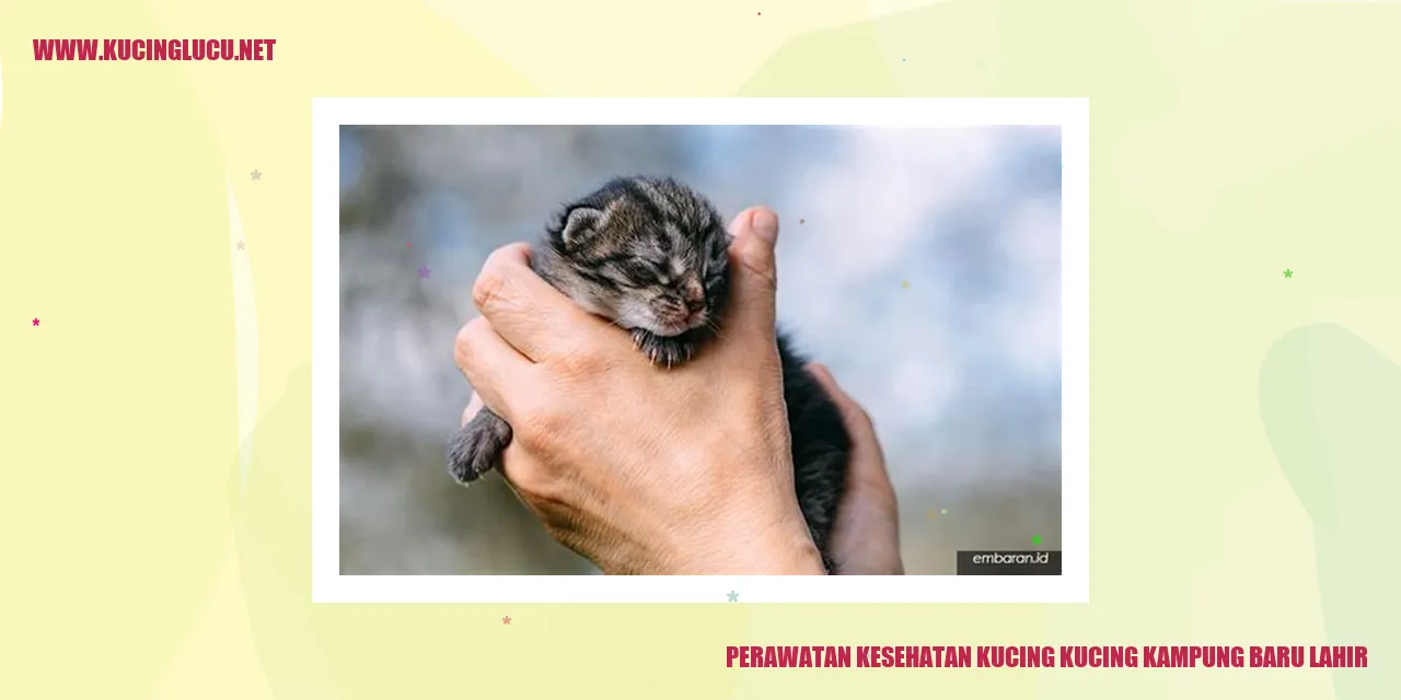 Perawatan Kesehatan Kucing