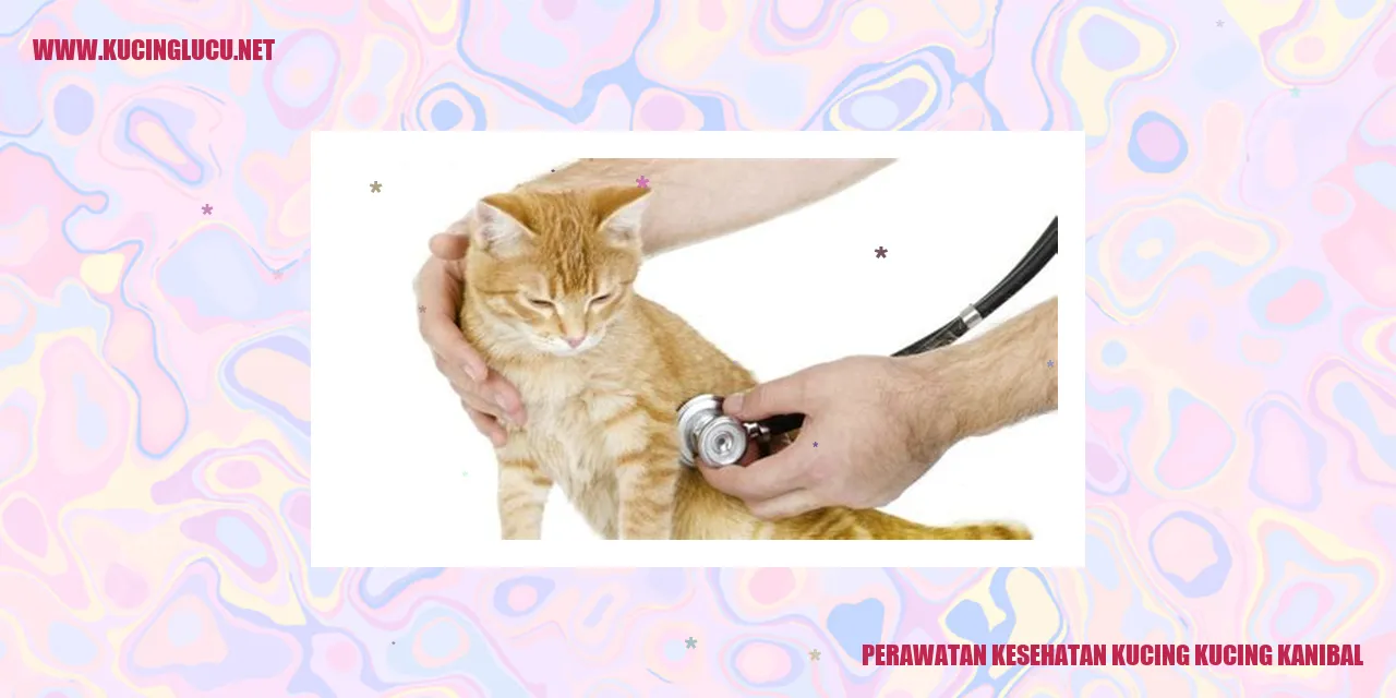 Perawatan Kesehatan Kucing kucing kanibal