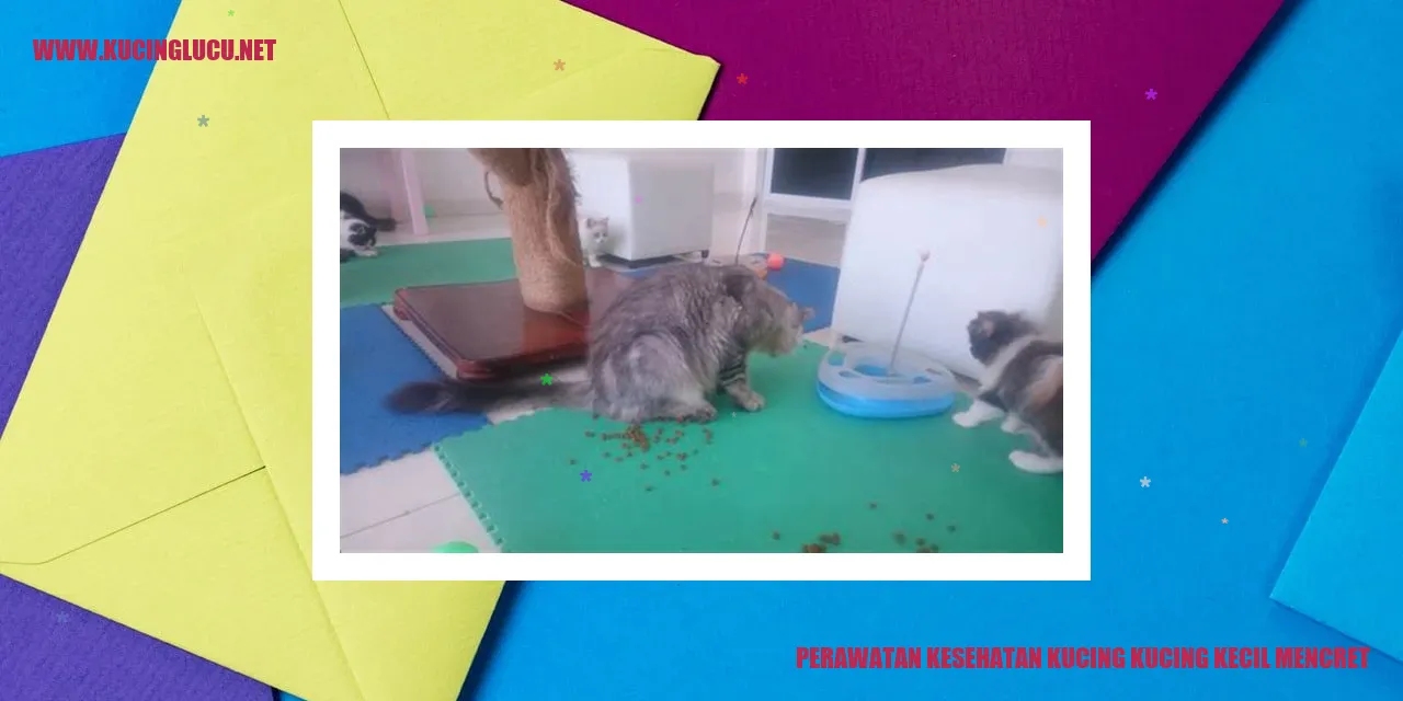 Perawatan Kesehatan Kucing