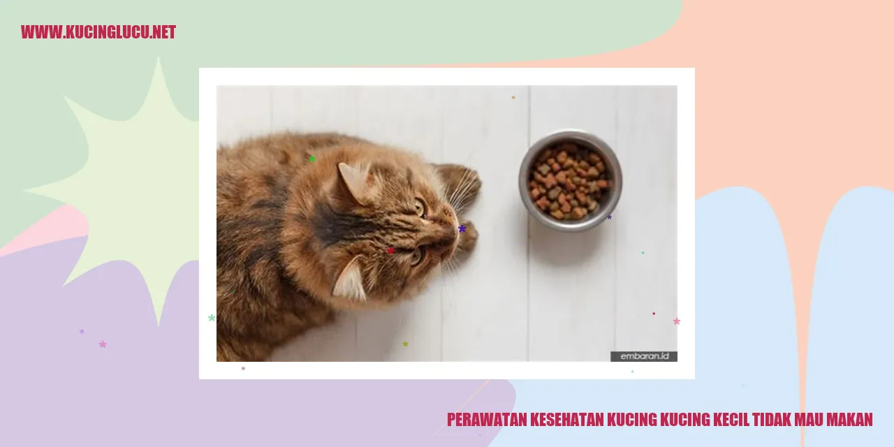 Perawatan Kesehatan Kucing