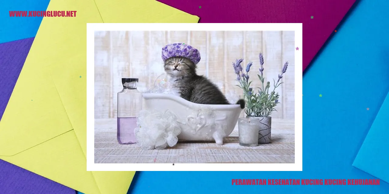 Kucing kehujanan