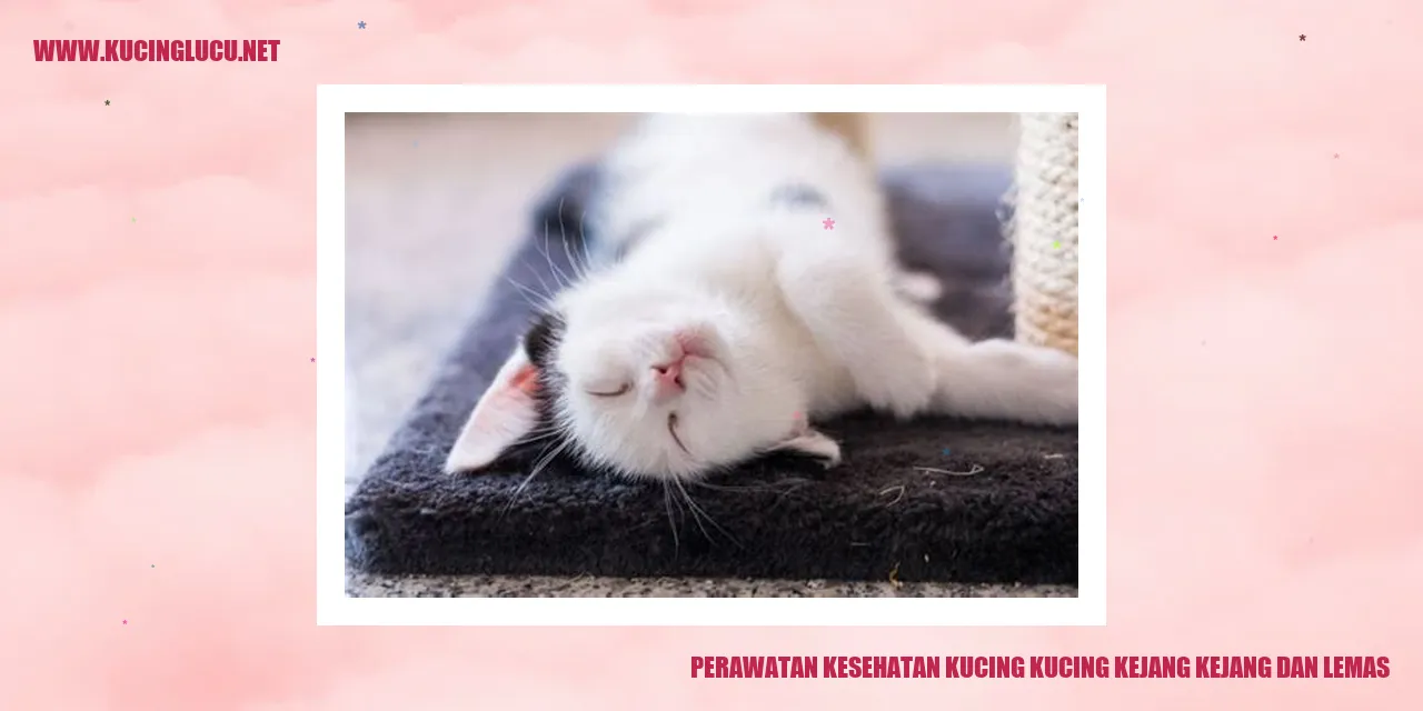 Gambar Kucing