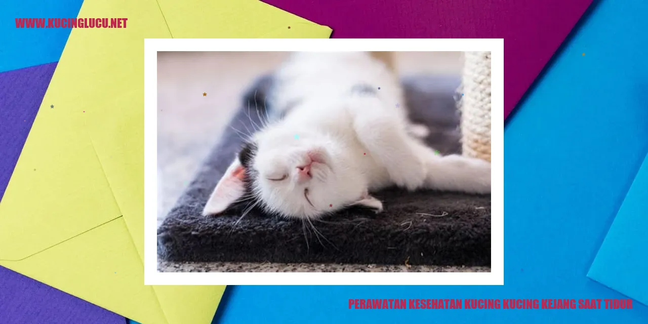 gambar kucing tertidur