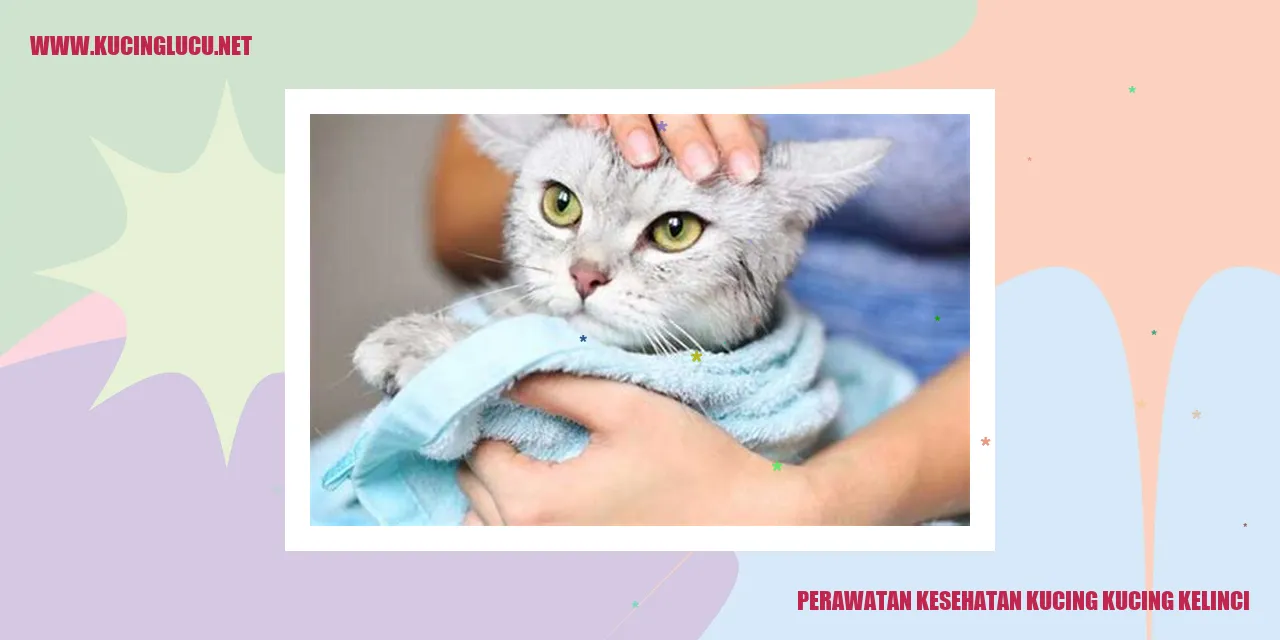 Perawatan Kesehatan Kucing dan Kelinci