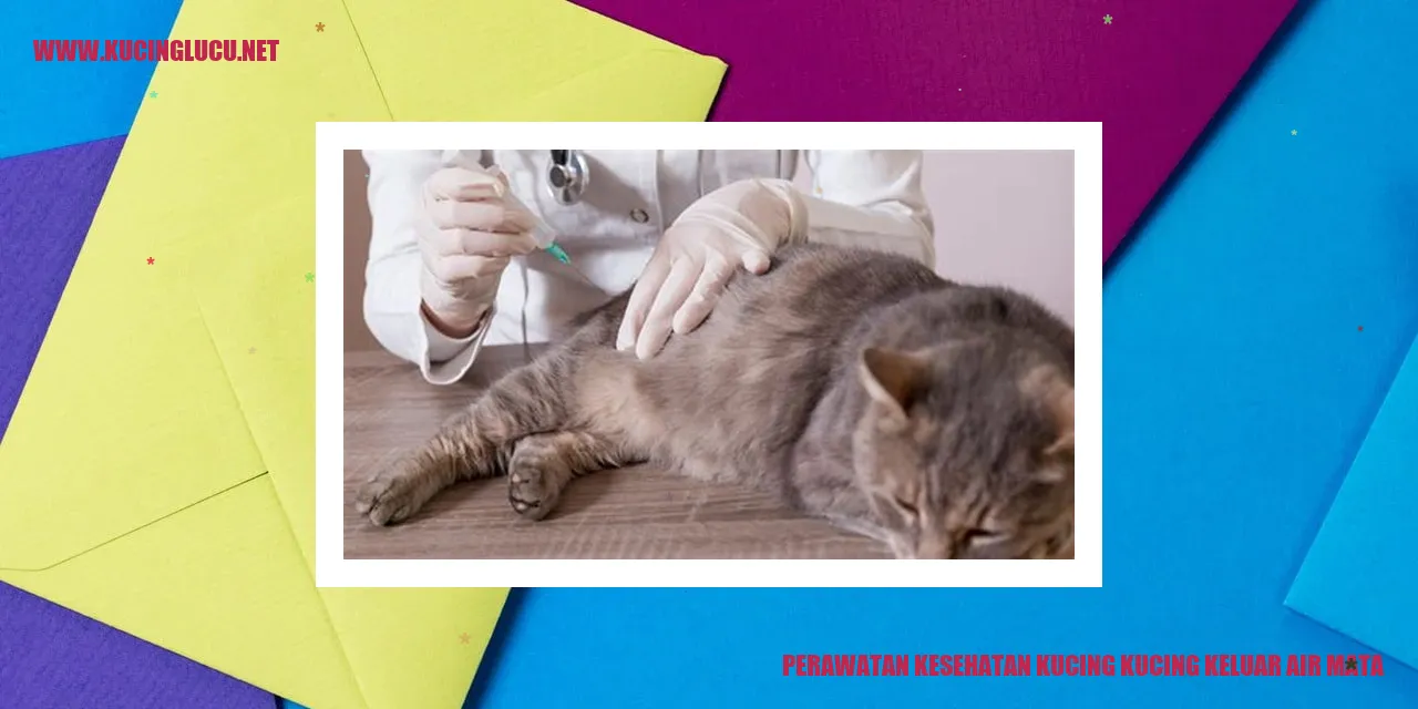 Perawatan Kesehatan Kucing kucing keluar air mata