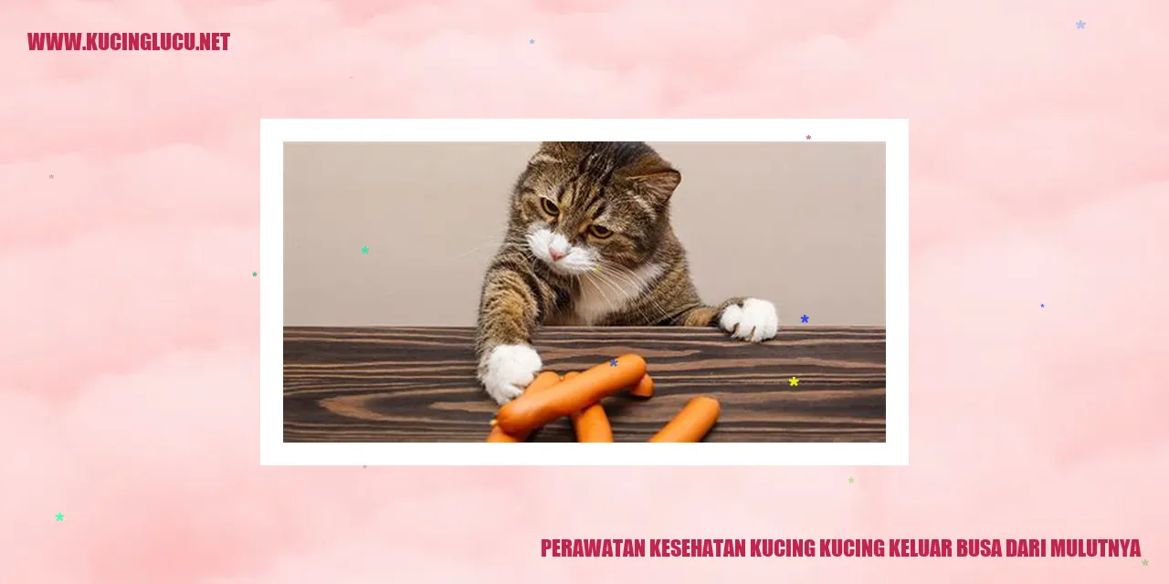 Perawatan Kesehatan Kucing
