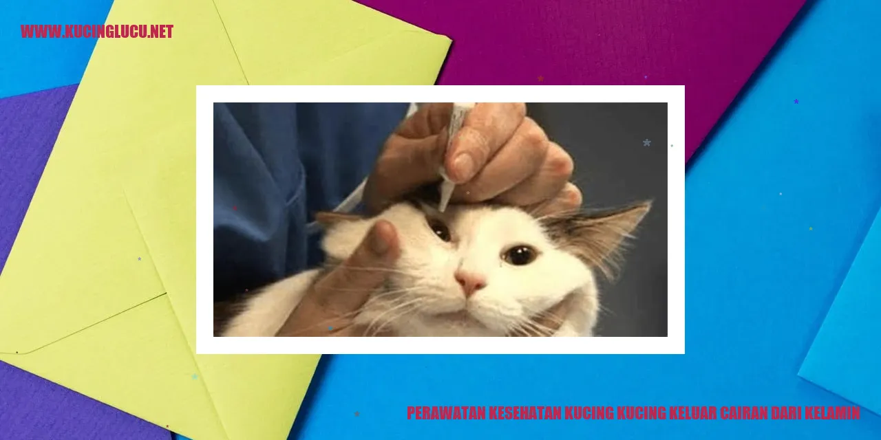 Perawatan Kesehatan Kucing