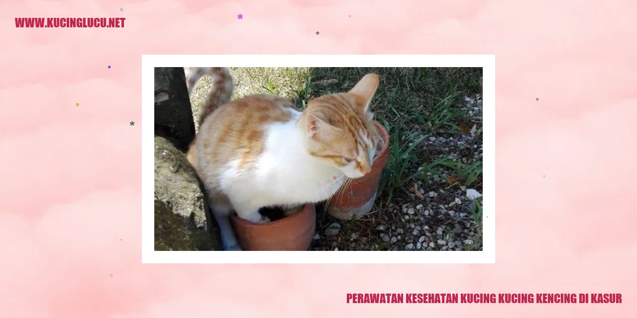 Gambar Kucing di Kasur