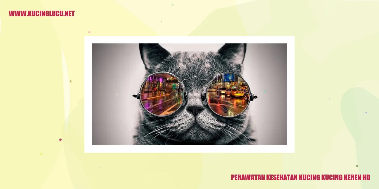 Kucing keren hd